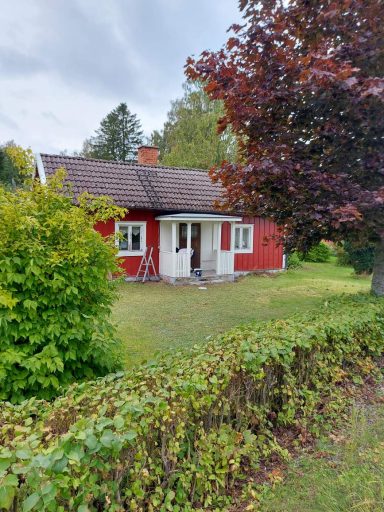 Hus målning Röd stuga med vit dörr, omgiven av grönska och träd.